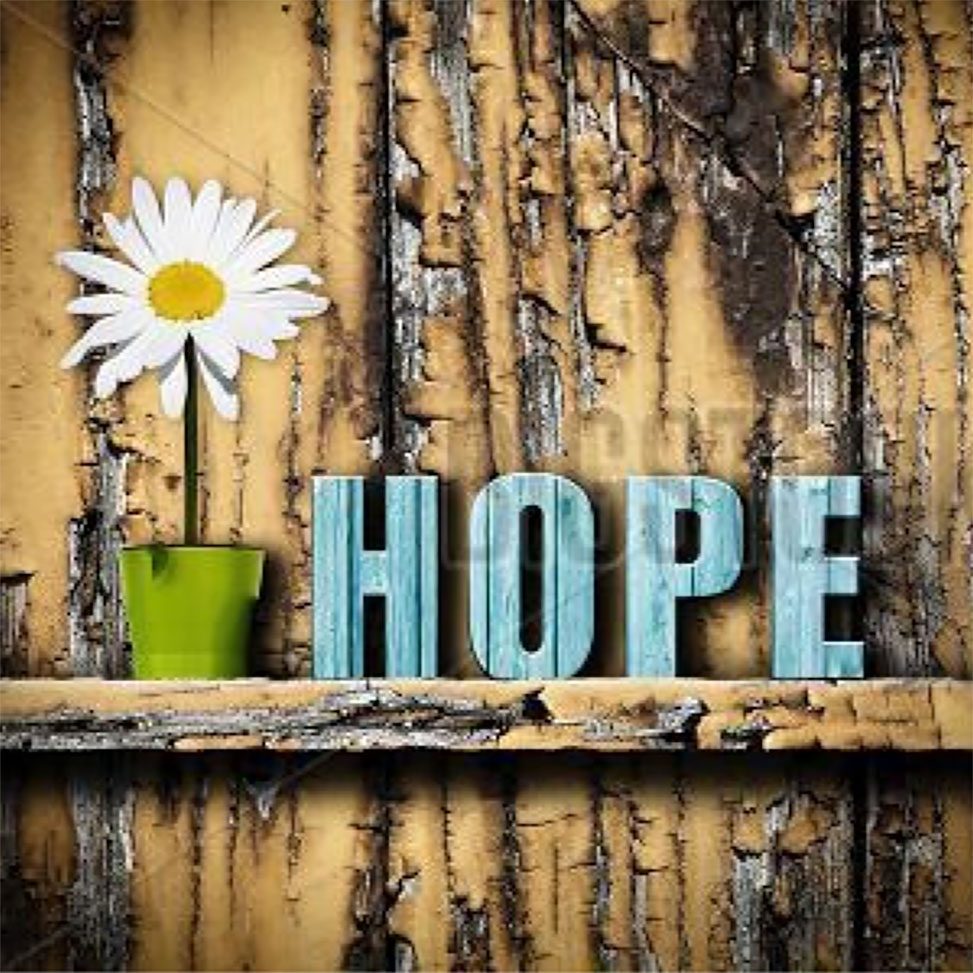 hope_R2